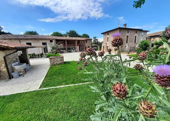 Corte DaviniAgriturismo